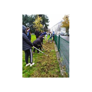 Défrichage au collège