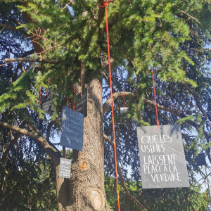 L'arbre à voeux