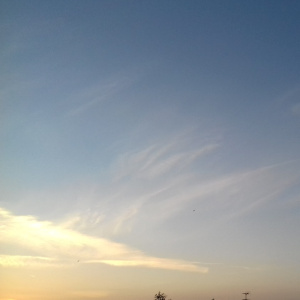 cirrus