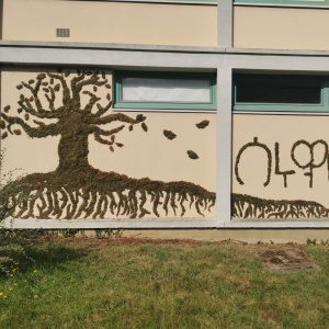 Graphe végétal