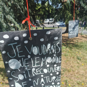 Des voeux